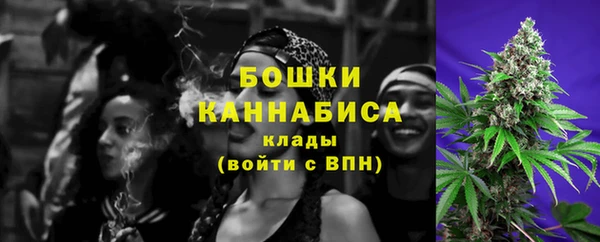 соль ск Гатчина