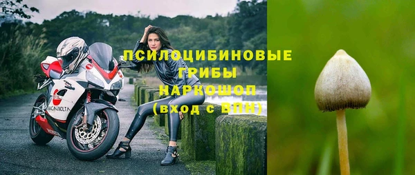 гашиш Ельня