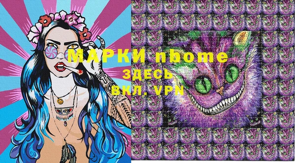 соль ск Гатчина