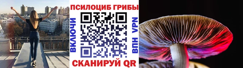 закладка  Касли  Галлюциногенные грибы прущие грибы 