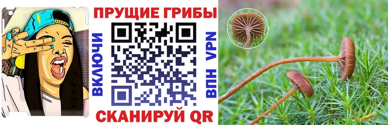 Псилоцибиновые грибы MAGIC MUSHROOMS Касли